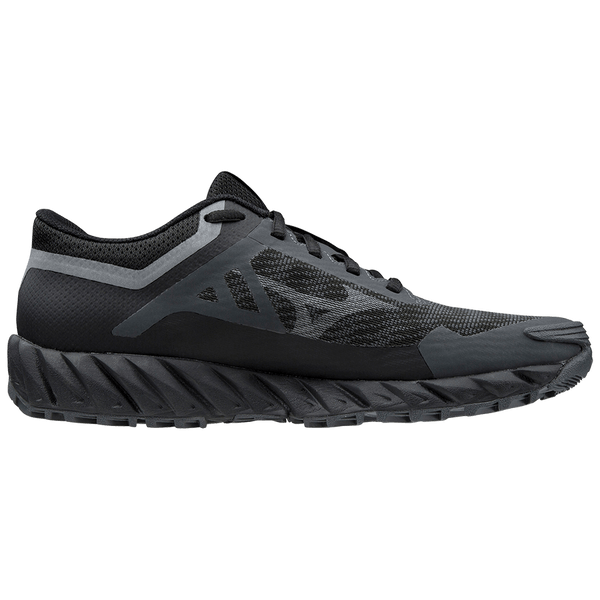 Scarpe sales mizuno goretex